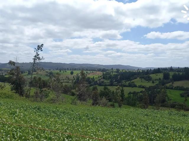 Terreno en venta en Ñuble