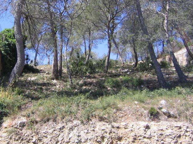 Terreno en venta en les Quintanes, Garraf
