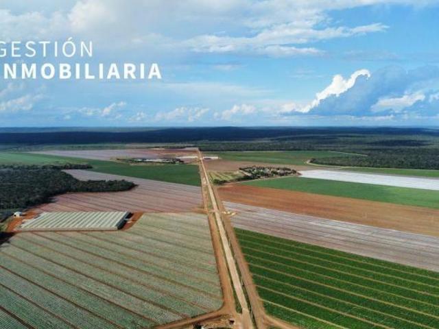 Terreno en venta en Tekax, Yucatán