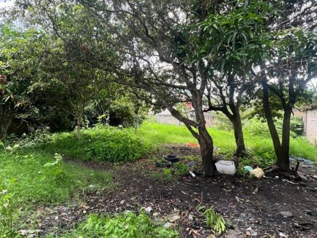 Terreno en venta en Tepic, Nayarit