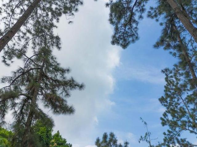 Terreno en venta, 2+ hectáreas, faldas de Cerro Trinidad, montañas de Capira