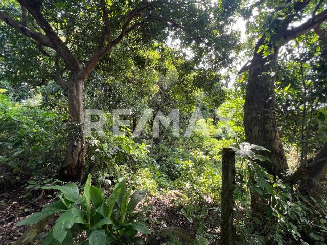 Terreno en venta en Tapachula, Chiapas