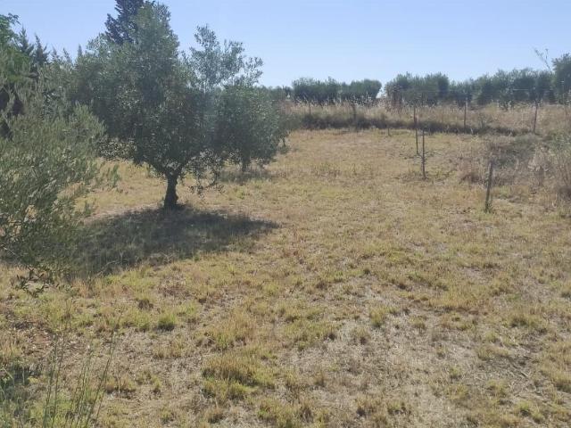 Terreno en venta en Don Álvaro