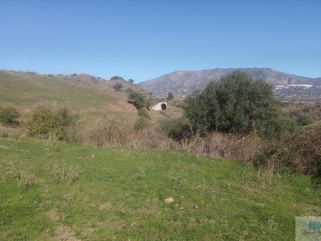 Terreno en venta en Mijas, Jardines de Minea