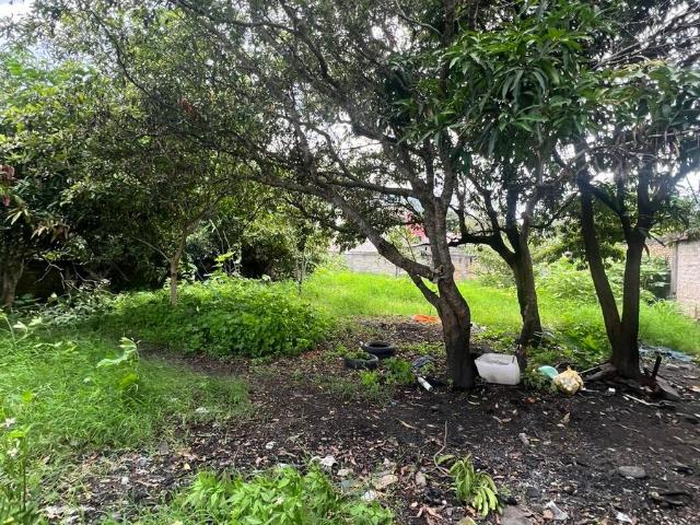 Terreno en venta en Tepic, Nayarit