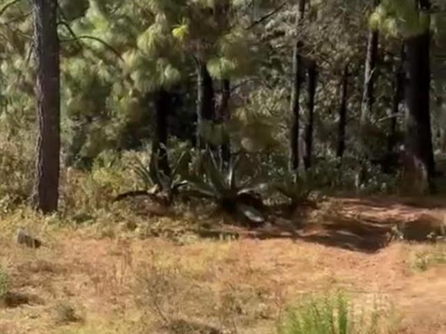 Terreno en venta en Amanalco, Estado de México