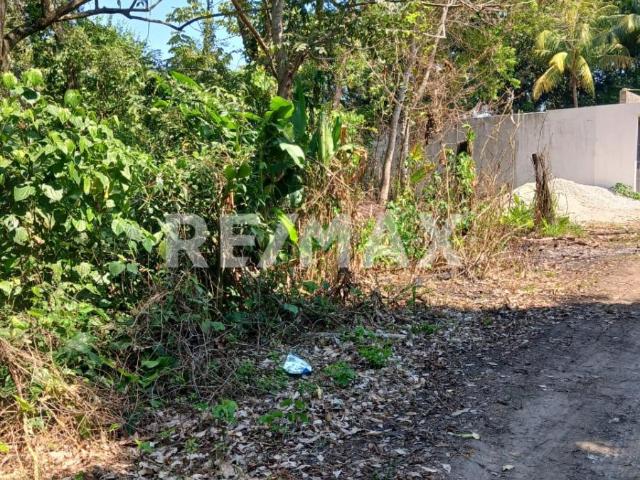 Terreno en venta en Cárdenas, Tabasco