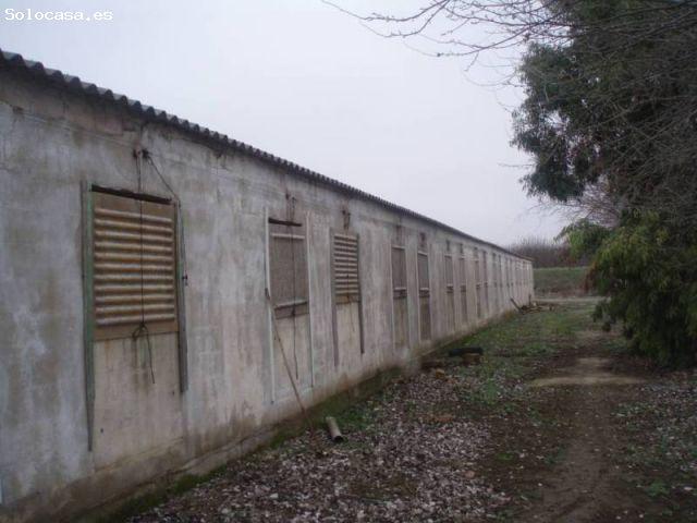 Local Comercial en venta en Murchante, Navarra