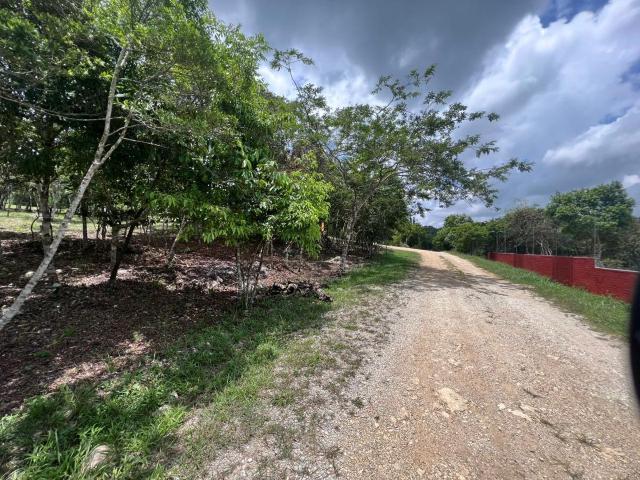Terreno en venta en Ocozocoautla De Espinosa, Chiapas