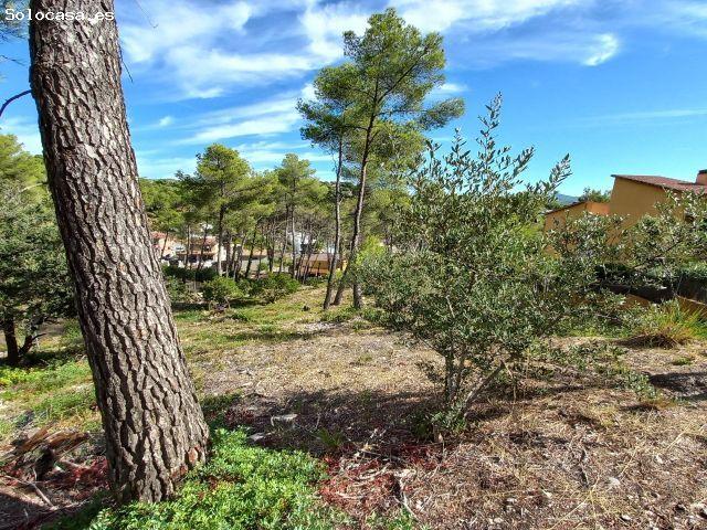 Local Comercial en venta en Can Macià, Garraf