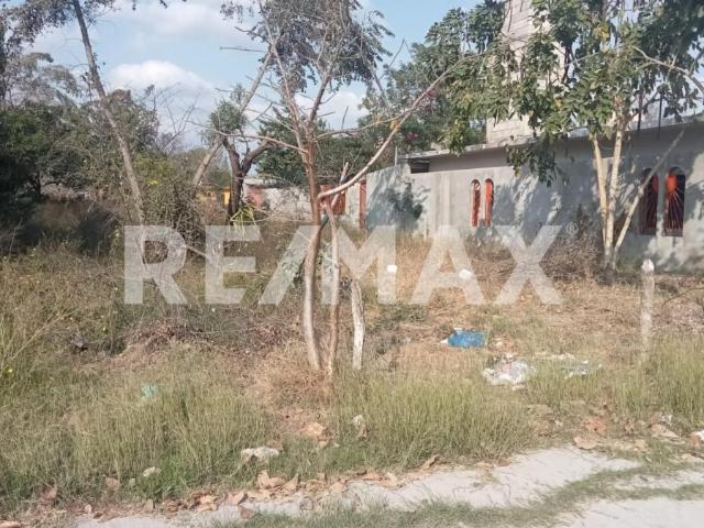Terreno en venta en González, Tamaulipas