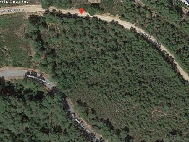 Local Comercial en venta en Baix Penedès, Catalunya