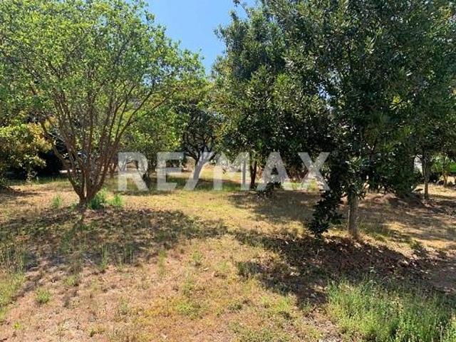 Terreno en venta en Uruapan, Michoacán