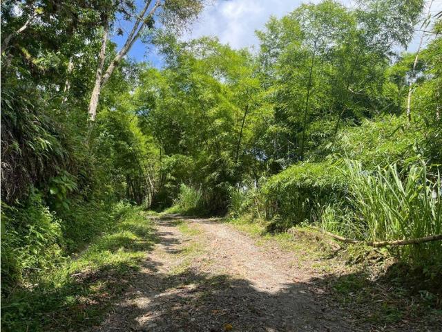 Terreno en venta en Miranda