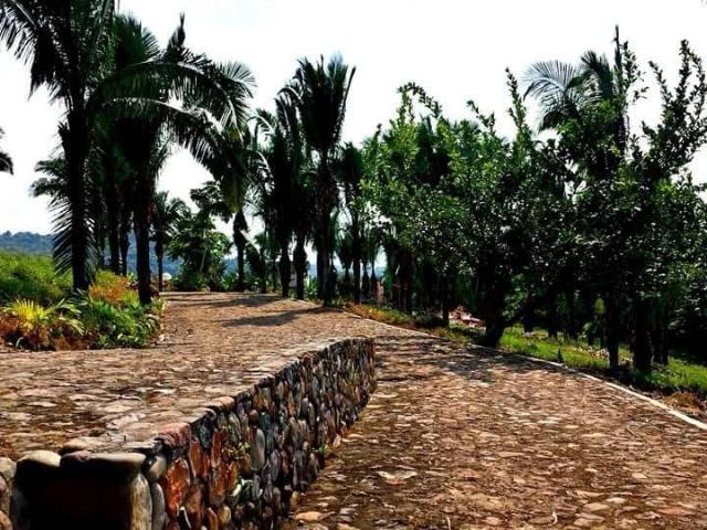 Terreno en venta en Compostela, Nayarit