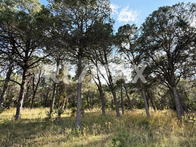 Terreno en venta en Galeana, Nuevo León