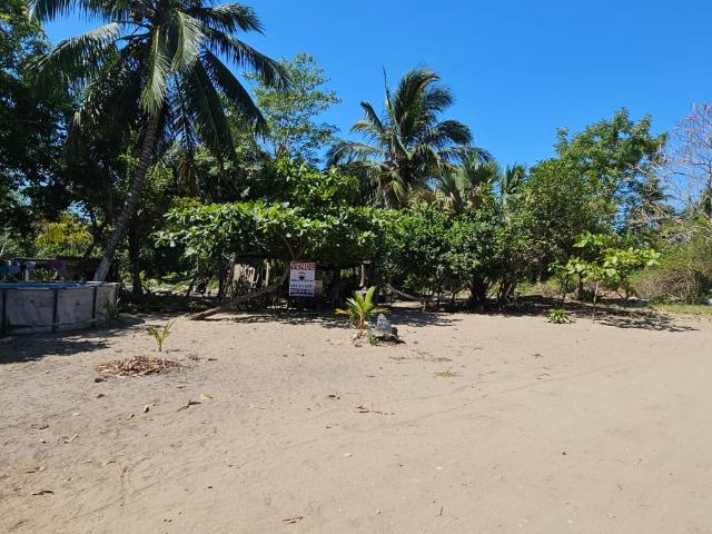Terreno en venta en Centla, Tabasco