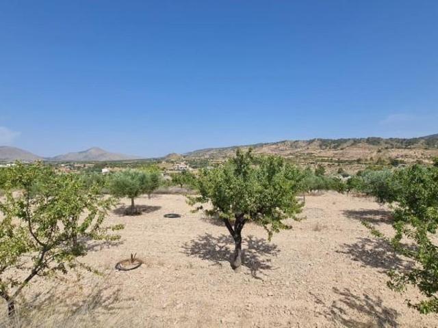 Terreno en venta en Macisvenda, Oriental