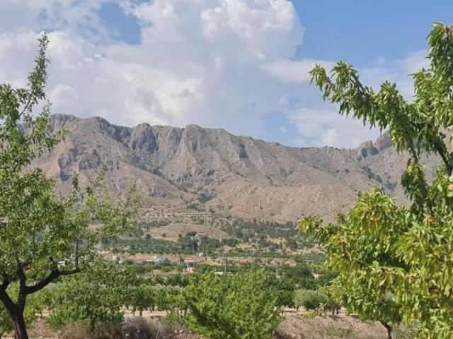Terreno en venta en Macisvenda, Oriental