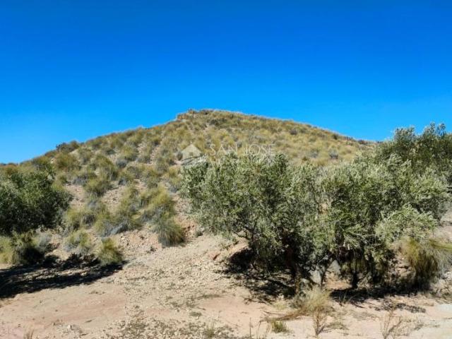 Terreno en venta en Macisvenda, Oriental
