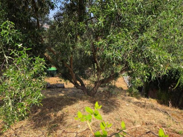 Terreno en venta en Can Vilalba, Baix Llobregat