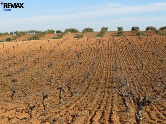 Terreno en venta en La Zarza, Extremadura