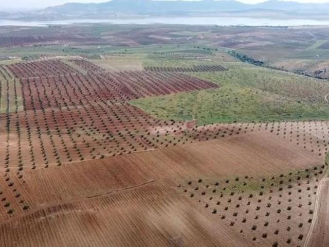 Terreno en venta en Alange, Extremadura
