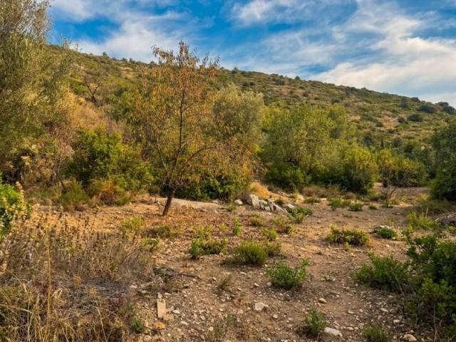 Terreno en venta en la Marina Alta, Valencia