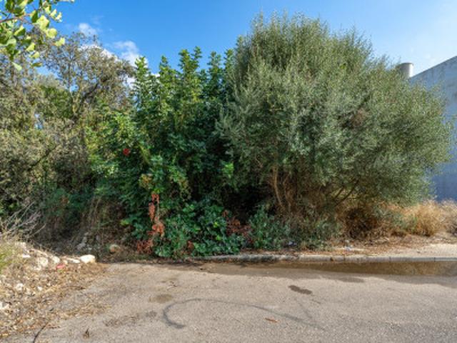 Terreno en venta en Port d'Alcúdia, Raiguer