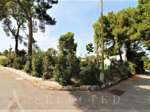Terreno en venta en Bonaire, Raiguer