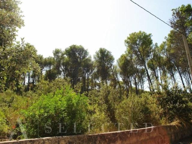Terreno en venta en Bonaire, Raiguer