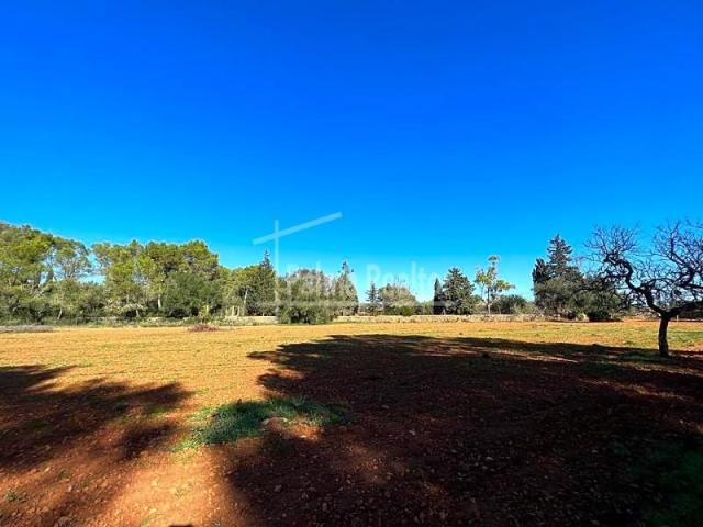Terreno en venta en Algaida