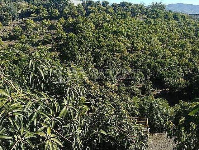 Terreno en venta en Los Llanos, La Axarquía