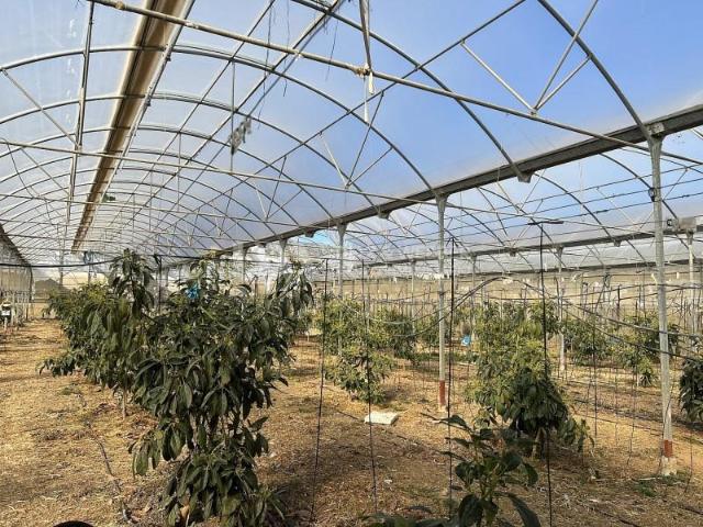Terreno en venta en Los Llanos, La Axarquía