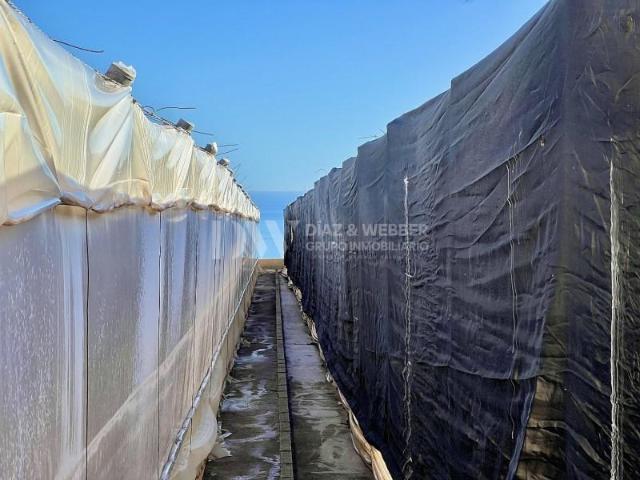 Terreno en venta en Los Llanos, La Axarquía