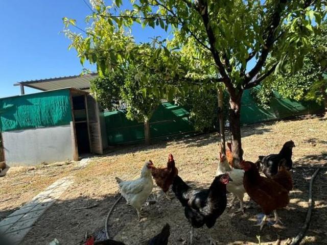 Terreno en venta en La Capellanía, Valle del Guadalhorce