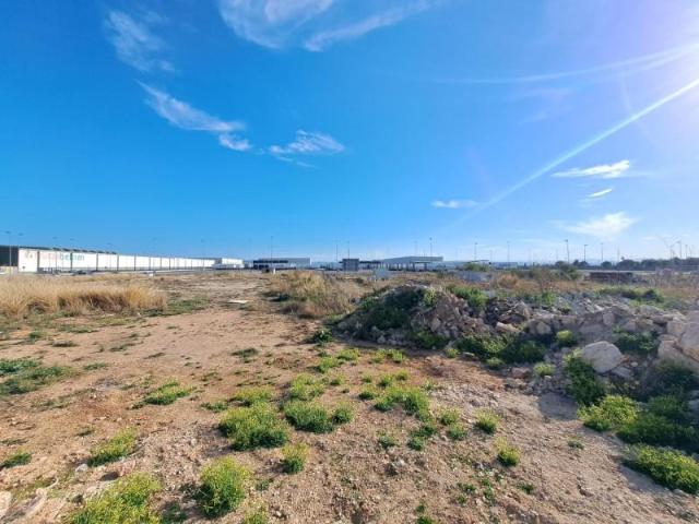 Terreno en venta en la Ribera Alta, Valencia