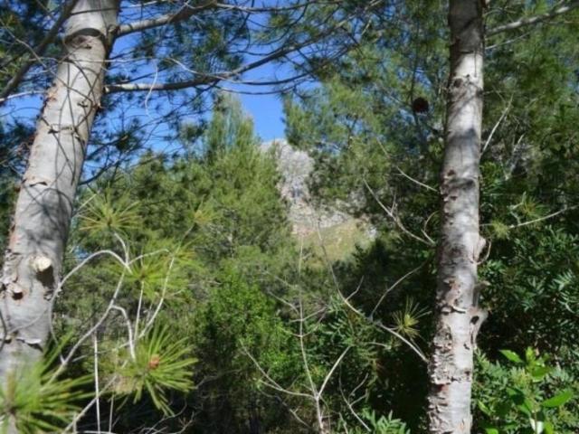 Terreno en venta en Betlem, Llevant
