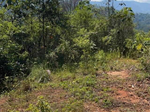 Terreno venta en San Martin