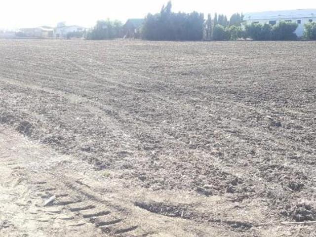 Terreno en venta en La Janda, Andalucía