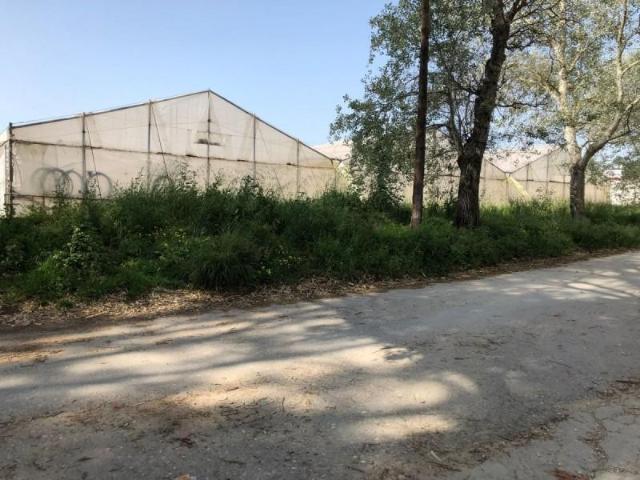 Terreno en venta en Ribera de la Oliva, La Janda
