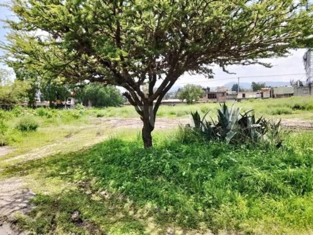 Terreno en Venta Barrio Chautongo, Coyotepec, Estado de México