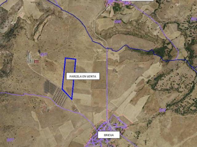 Terreno en venta en Sexmo de San Lorenzo, Brieva