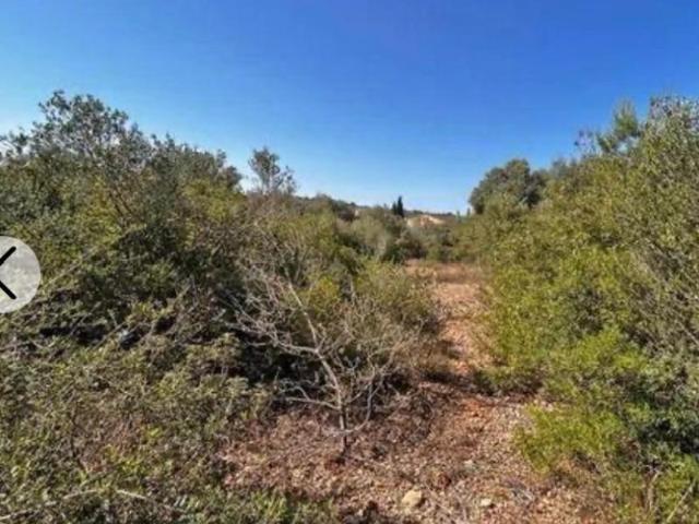 Terreno en venta en Sa Fonts Seca, Serra de Tramuntana