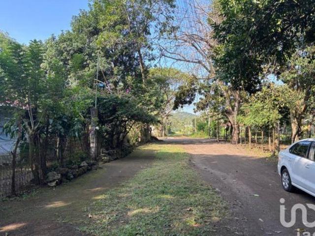 Terreno en venta en San Andrés Tuxtla, Veracruz