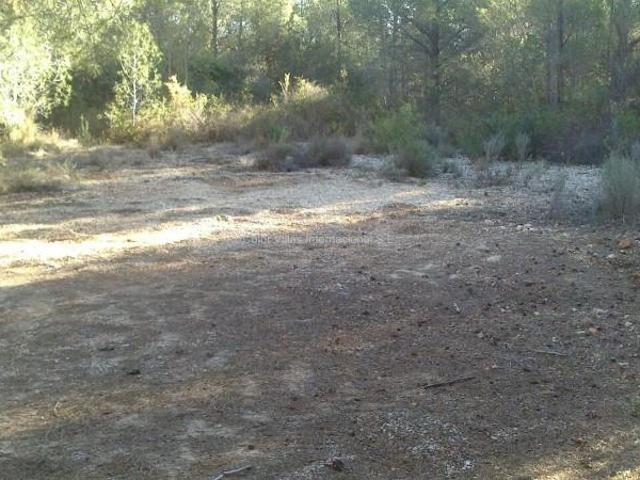 Terreno en venta en San Bernardo, la Marina Alta