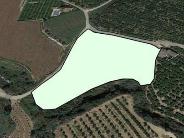 Terreno en venta en la Ribera Alta, Valencia