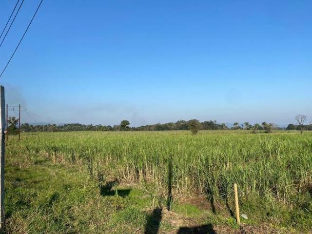 Terreno en venta en Amatlán de los Reyes
