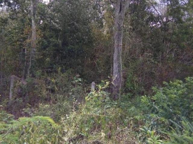 TERRENO EN VENTA CARRETERA TULUM CARRILLO PUERTO