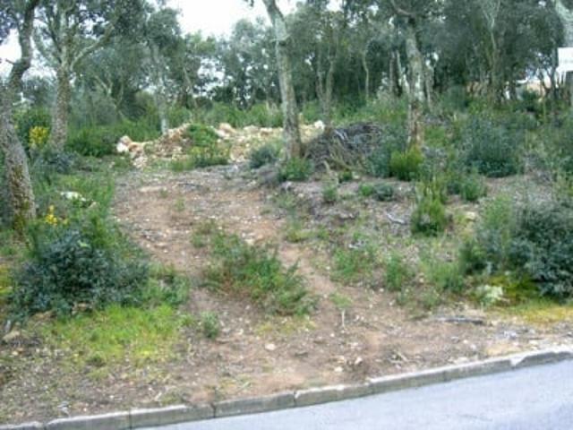 Terreno en venta en Castell d'Aro, Platja d'Aro i s'Agaró, Baix Empordà